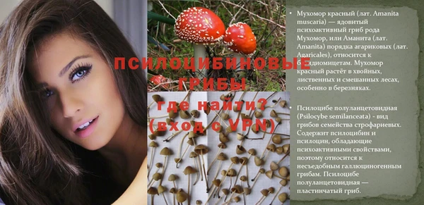 первитин Медногорск